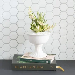 Artificial Mixed Succulent Bouquet Green & White (24cmH)