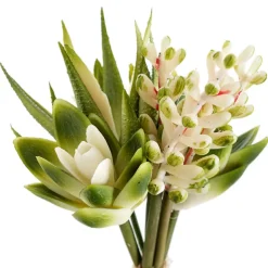 Artificial Mixed Succulent Bouquet Green & White (24cmH)