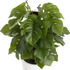 Artificial Monstera Potted Plant Green (25cmH)