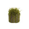 Artificial Moss Arrangement Pot Green (19cmH)