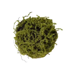 Artificial Moss Arrangement Pot Green (19cmH)