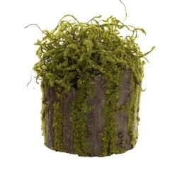 Artificial Moss Arrangement Pot Green (19cmH)