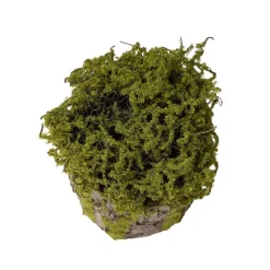 Artificial Moss Arrangement Pot Green (28cmH)