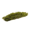 Artificial Moss Arrangement Display Piece Green (14cmx40cmL)