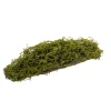 Artificial Moss Arrangement Display Piece Green (18cmx49cmL)