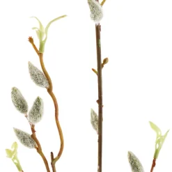 Artificial Pussy Willow Long Stem Spray Brown (103cmH)