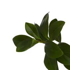 Artificial Real Look Peperomia Leaf Spray Green (65cmH)