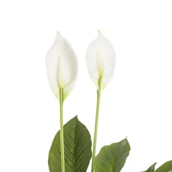 Artificial Spathiphyllum Potted Plant Real Touch (76cmH)