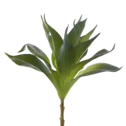 Artificial Succulent Agave Small Green (20x25cmH)