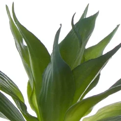 Artificial Succulent Agave Small Green (20x25cmH)