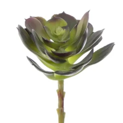 Artificial Succulent Echeveria Red Green (12x15cmH)