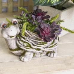 Artificial Succulent Echeveria Red Green (12x15cmH)