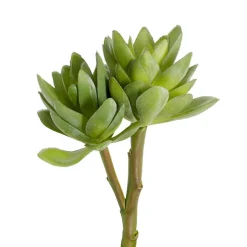 Artificial Succulent Florette 2 Head Spray Green (18cmH)