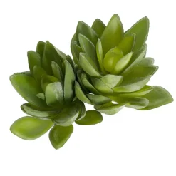 Artificial Succulent Florette 2 Head Spray Green (18cmH)