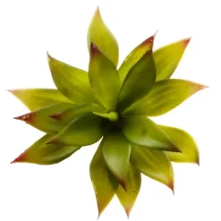 Artificial Succulent Mini Agave Green (14cmDx18cmH)