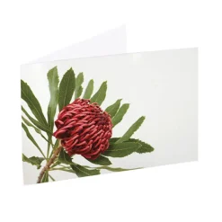 Artisan Gift Card & Envelope Waratah Red Pk25 (10x6.5cmH)