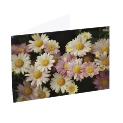 Artisan Gift Card & Envelope Daisy Field Pk25 (10x6.5cmH)
