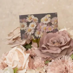 Artisan Gift Card & Envelope Daisy Field Pk25 (10x6.5cmH)