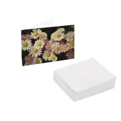 Artisan Gift Card & Envelope Daisy Field Pk25 (10x6.5cmH)