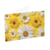 Artisan Gift Card & Envelope Daisy Daze Pk25 (10x6.5cmH)