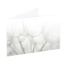 Artisan Gift Card & Envelope Dandelions Pk25 (10x6.5cmH)
