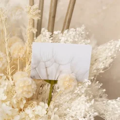 Artisan Gift Card & Envelope Dandelions Pk25 (10x6.5cmH)