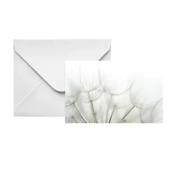 Artisan Gift Card & Envelope Dandelions Pk25 (10x6.5cmH)