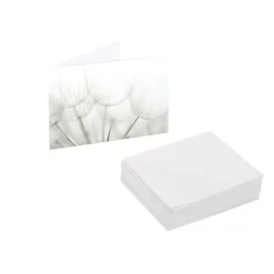 Artisan Gift Card & Envelope Dandelions Pk25 (10x6.5cmH)