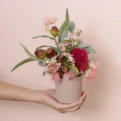 Australian Native Geraldton Wax Flower Pink Purple (78cmH)