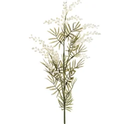 Australian Native Wattle White (85cmH)