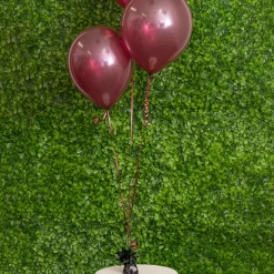 Balloon Weight Black (12cmH)