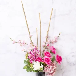 Bamboo Sticks 6-8mm Pack 12 (60cm) Natural Dried