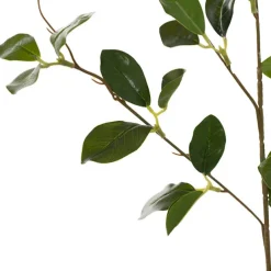 Banyan Leaf Spray Green (84cmH)