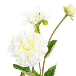 Barla Zinnia Spray White (67cmH)