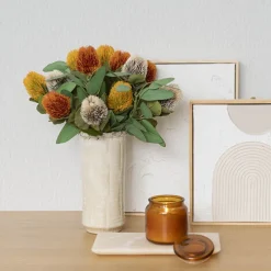 Baxteri Banksia Stem Orange (6cmDx59cmH)