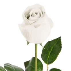 Bella Real Touch Rose Bud White (60cmH)