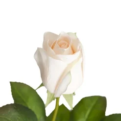 Bella Real Touch Rose Bud Soft Peach (60cmH)