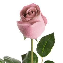 Bella Real Touch Rose Bud Powder Pink (60cmH)