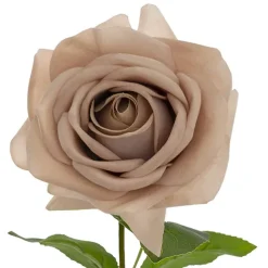 Bella Real Touch Rose Full Bloom Lge Nude (12cmDx65cmH)