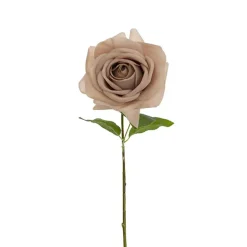 Bella Real Touch Rose Full Bloom Lge Nude (12cmDx65cmH)