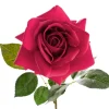 Bella Real Touch Rose Full Bloom Lge Hot Pink (12cmDx65cmH)
