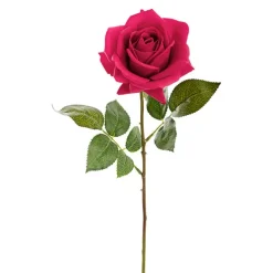 Bella Real Touch Rose Full Bloom Lge Hot Pink (12cmDx65cmH)