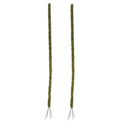 Bendable Preserved Moss Pole Pack 2 Green (91.5cmH)