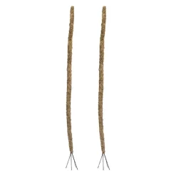 Bendable Preserved Sphagnum Moss Pole Pack 2 Beige (91.5cmH)