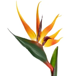 Bird of Paradise Real Touch Orange (89cmH)