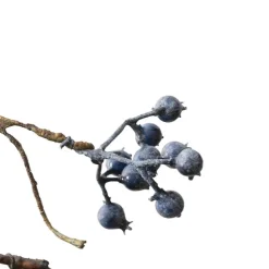 Blueberry Vine Garland Blue (140cmL)