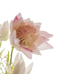 Blushing Bride Protea x8 Heads Light Pink (68cmH)
