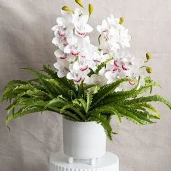 Boston Fern Bush Spray Green (60x60x55cmH)