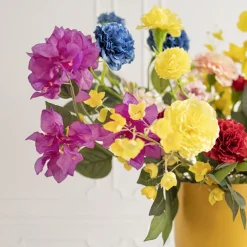 Bougainvillea Spray Purple (70cmH)