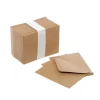 Brown Kraft Envelopes Lick & Stick (85x110mm) Pack 100